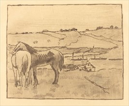 Horses in the Meadow