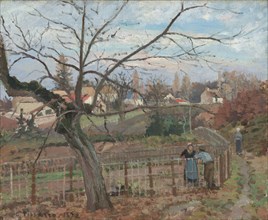 The Fence