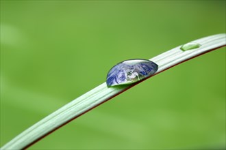 Planet earth waterdrop