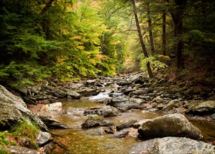 Long duration image of water flowing over boulders and mossy rocks in autumn