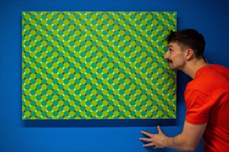 London, UK.  15 November 2022. A staff member views 'Primrose's Fields', 2022, by Akiyoshi Kitaoka, a demonstration of the Fraser-Wilcox illusion, at a preview of the new Twist (The Way I See Things) ...